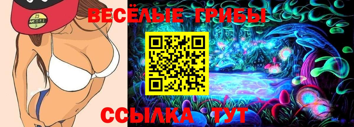 Галлюциногенные грибы GOLDEN TEACHER  Вход с VPN  Галлюциногенные грибы Psilocybe  Будённовск 