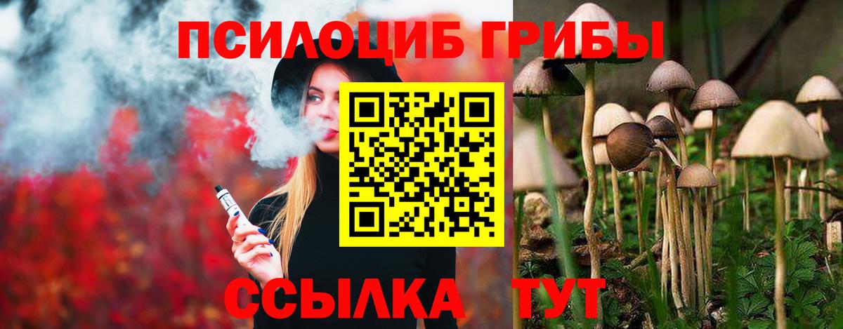Псилоцибиновые грибы прущие грибы Будённовск