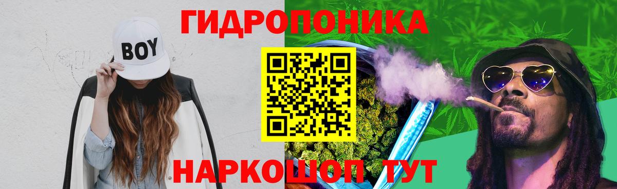 Конопля ГИДРОПОН  Вход с VPN  Бошки Шишки план  Будённовск  МАРИХУАНА конопля 